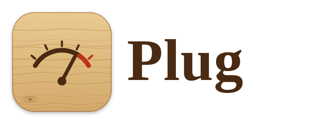 Plug